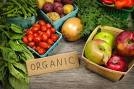 органические продукты в Волгограде